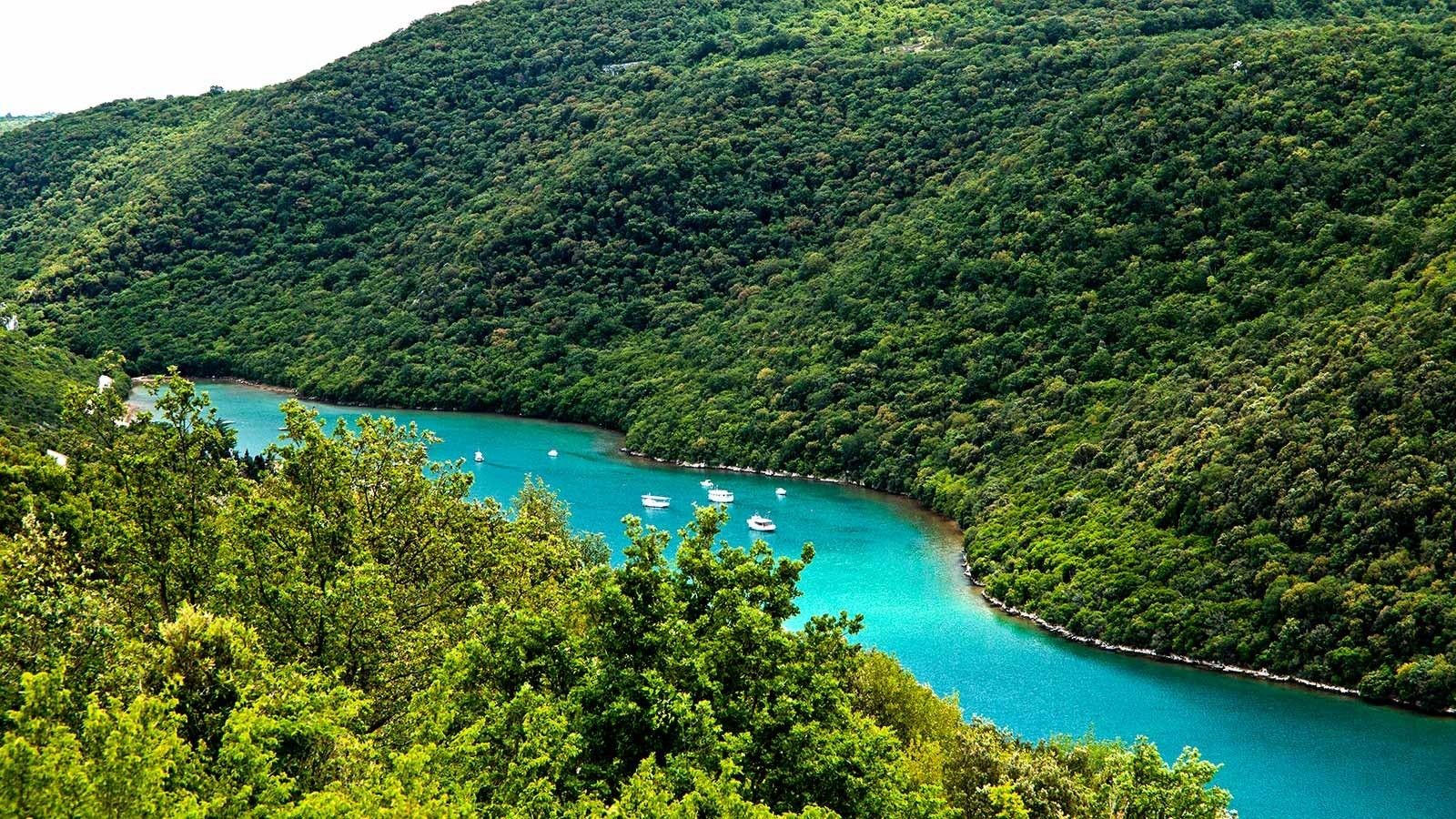 Limski1
